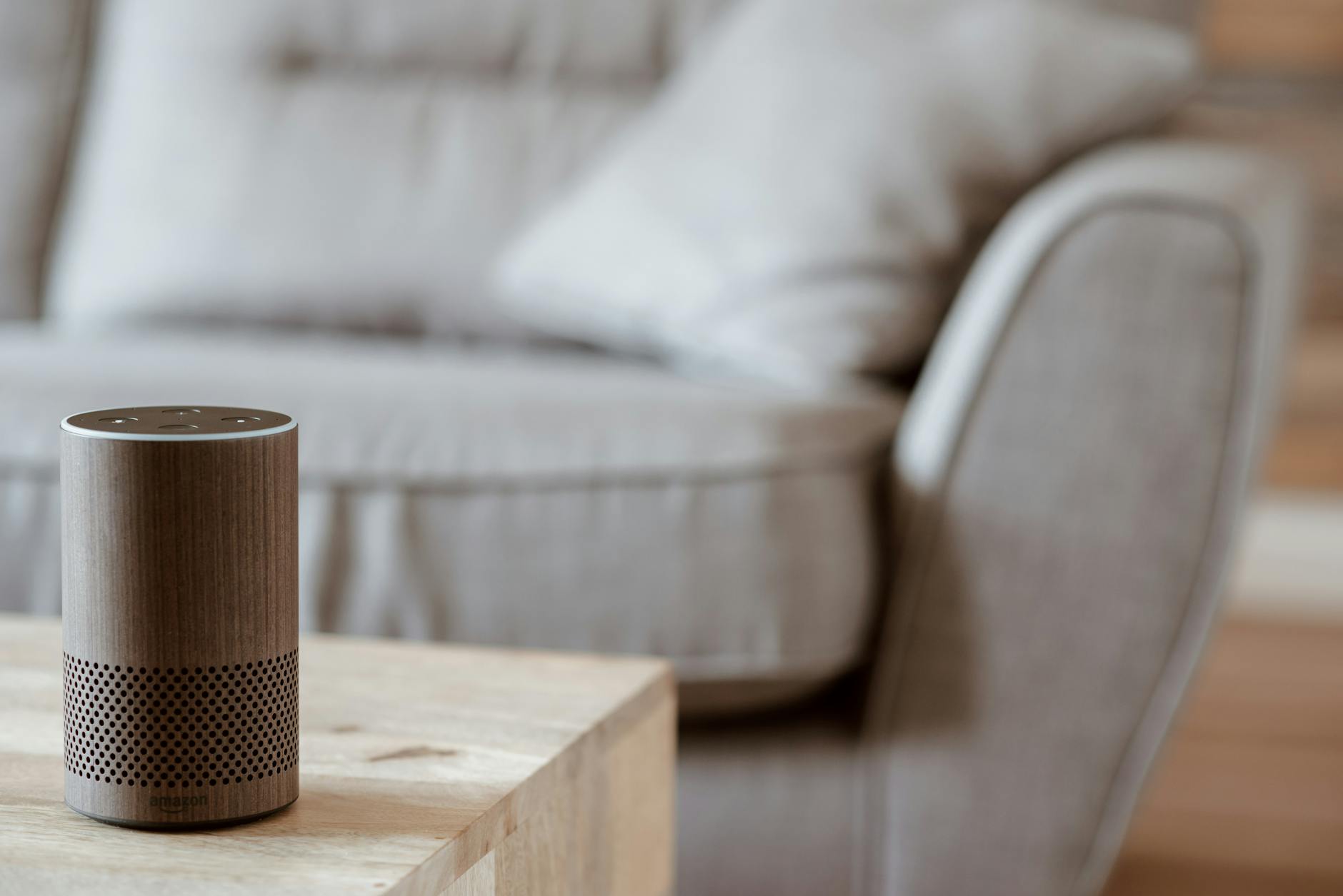 Brown Speaker on the Table